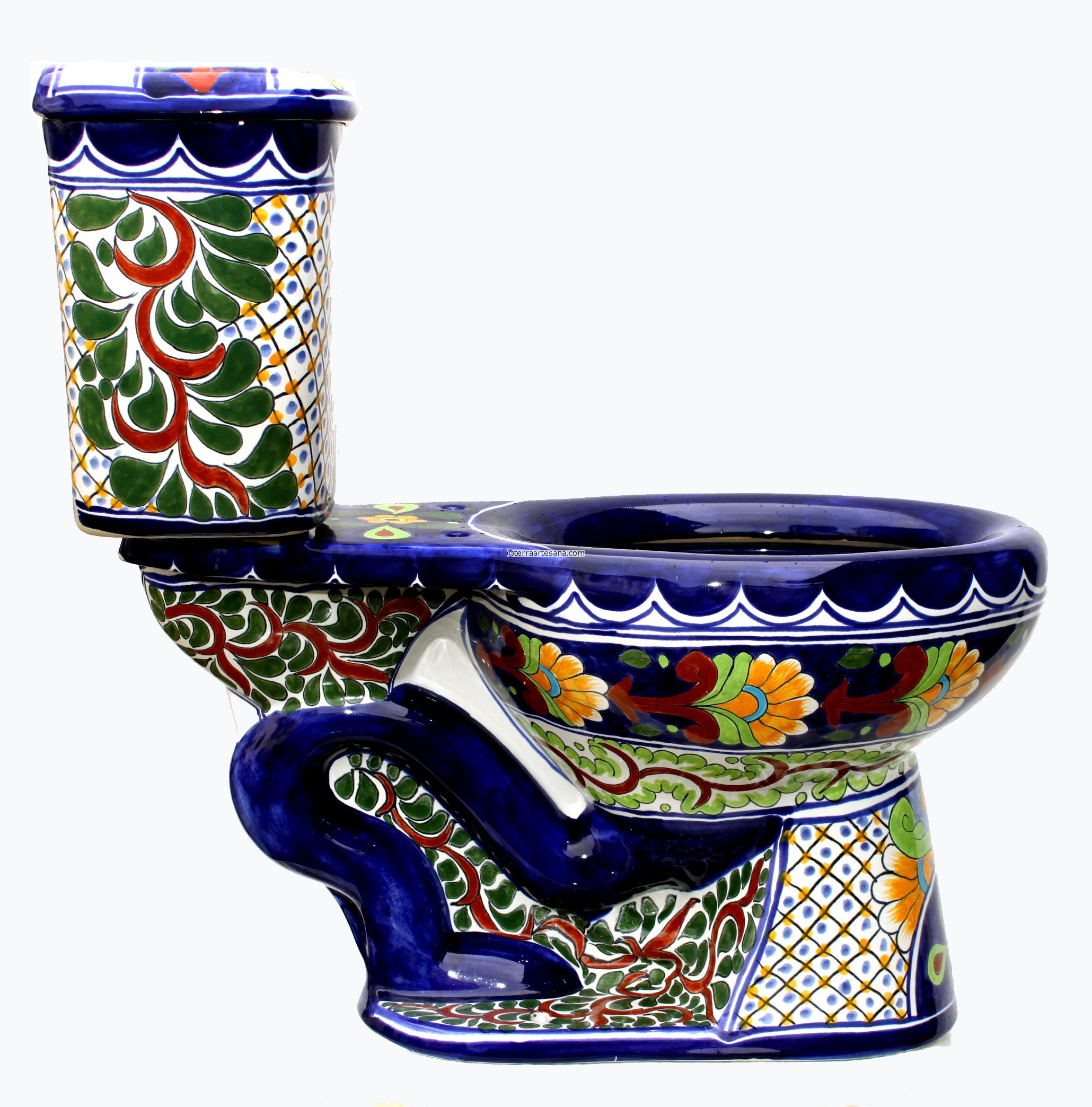 mexican toilet