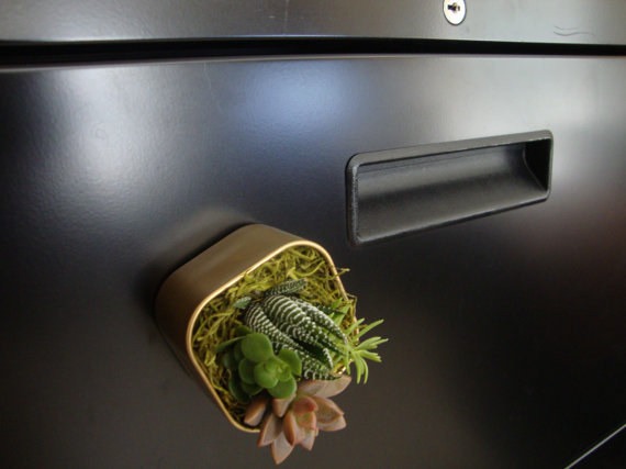 If you don’t have room for plants in your home office, try one of these adorable mini-succulent magnets.