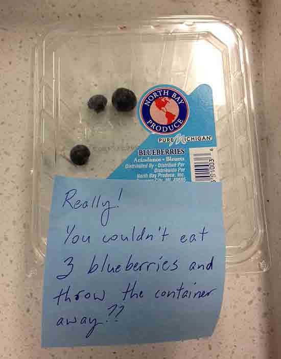  I saved three berries for later, but my co-workers just don’t get it..