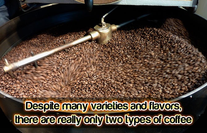 4-despite-many-varieties-and-flavors-there-are-really-only-two-types-of-coffee