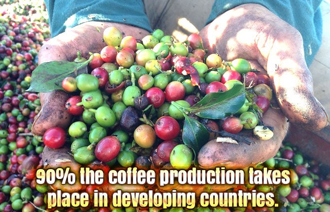 7-90-the-coffee-production-takes-place-in-developing-countries