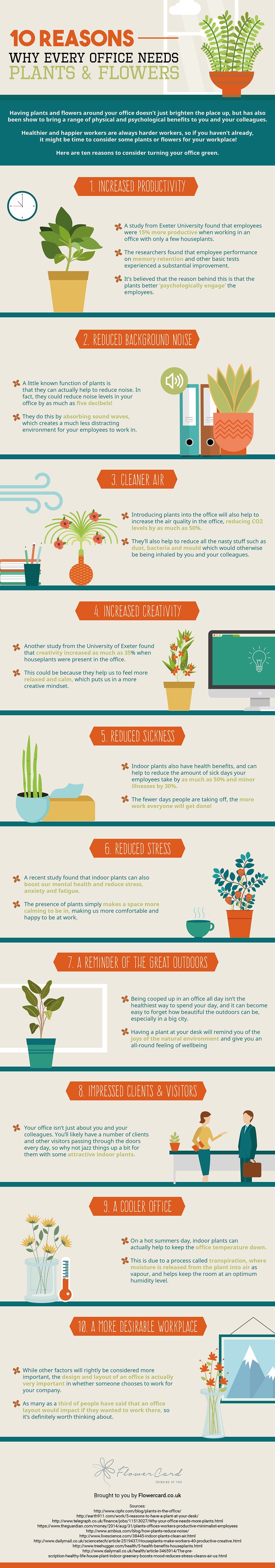Ten Reasons Why Every Office Needs Plants 