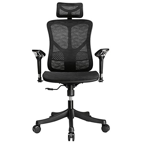 Argomax Mesh Office Chair