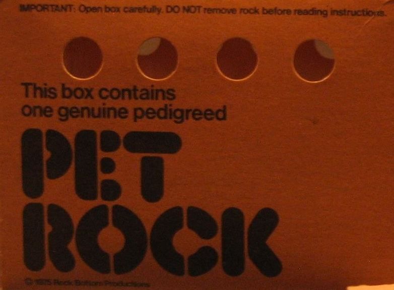 Pet Rock box