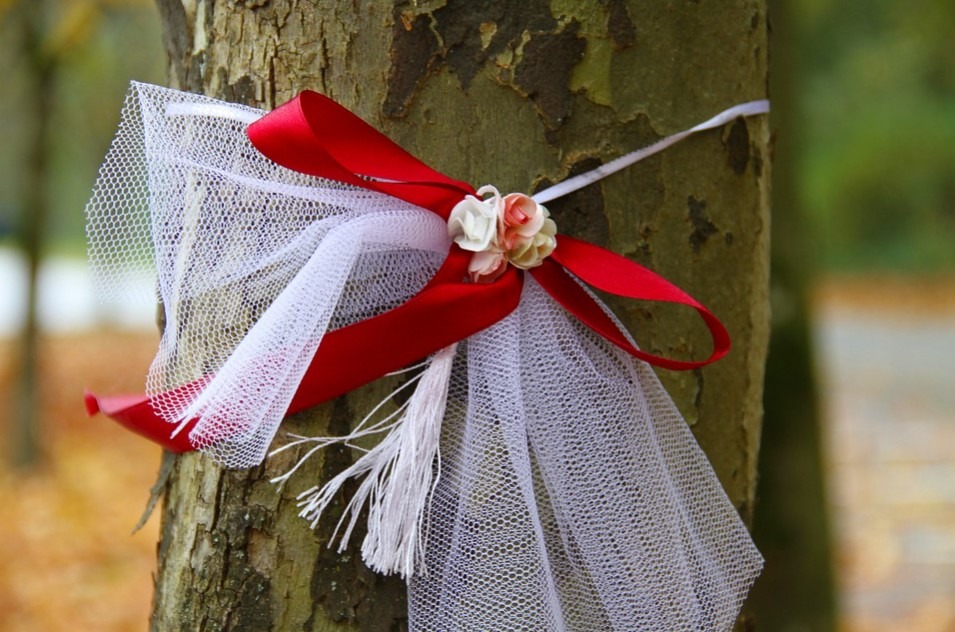 A gift ribbon wrapped around a tree log