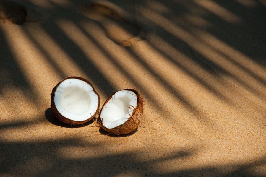 Coconut Oil Health Benefits and Uses
