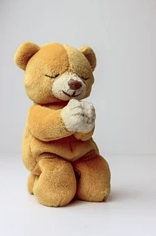 A teddy bear Beanie Baby
