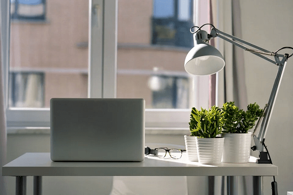 Plant-Office-Desk